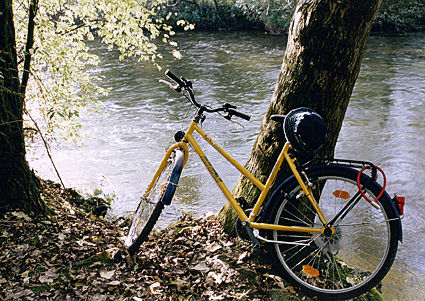 Große Darstellung des Bildes