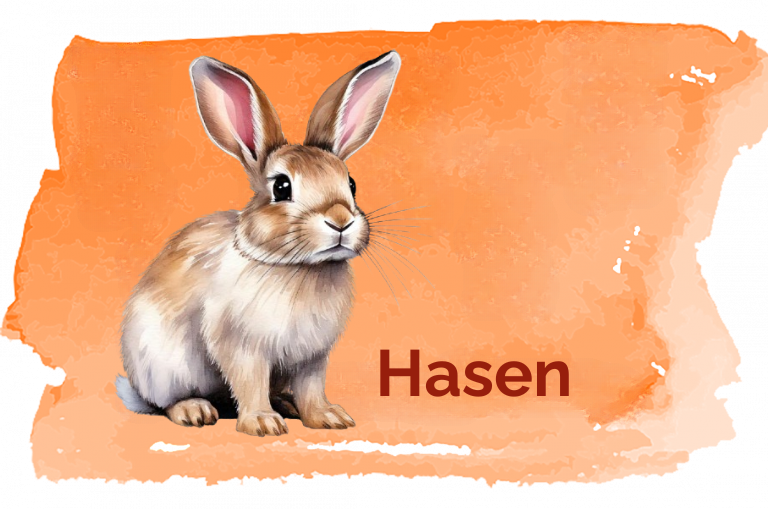 Hasen