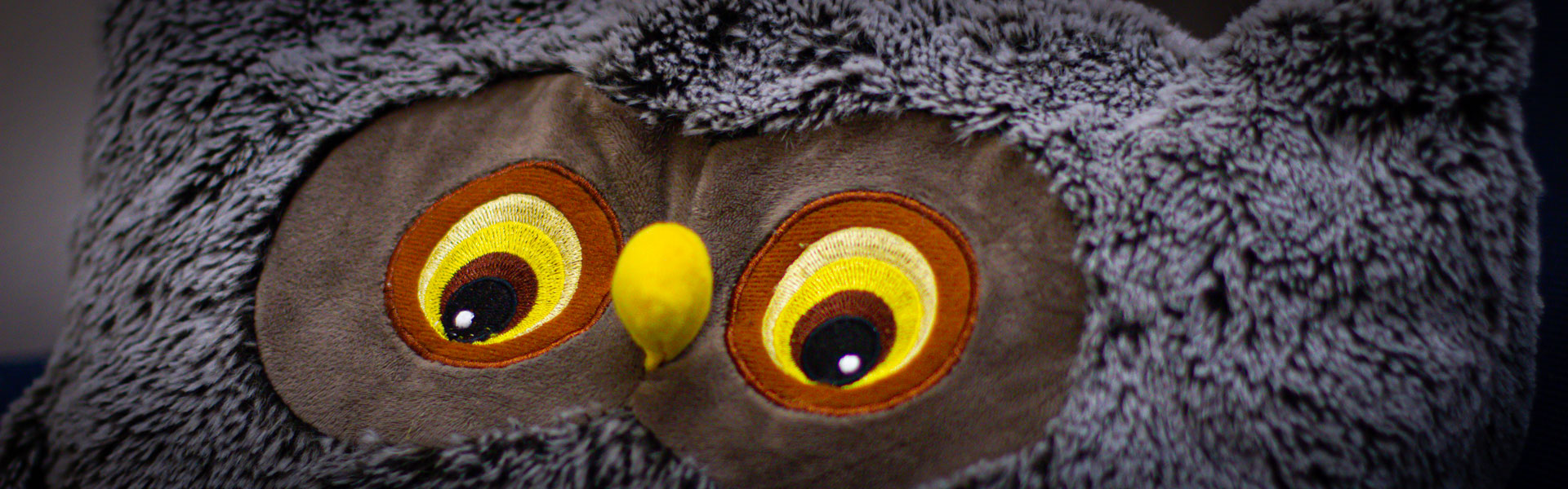 Header Kleine Strolche - Eulen